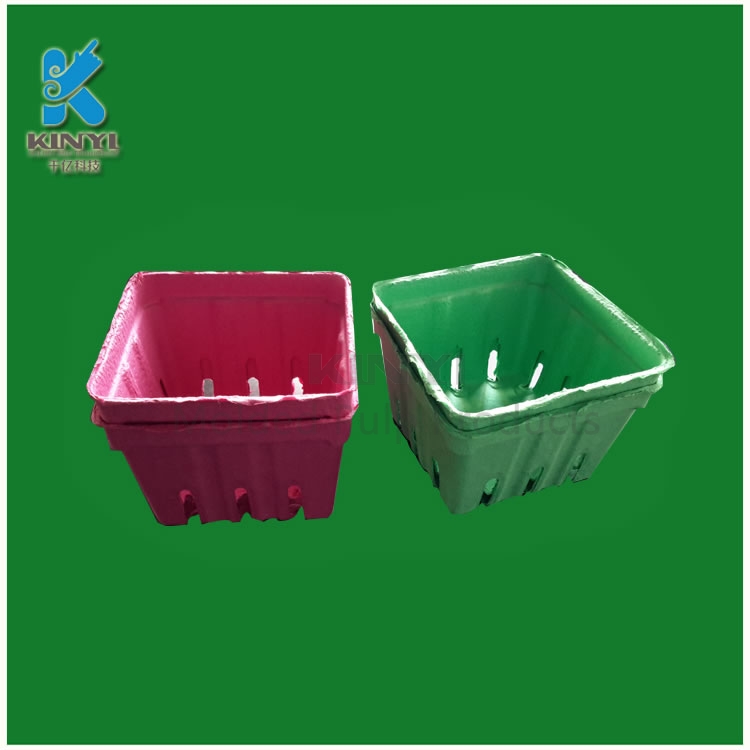 Biodegradable Paper Pulp Fruit Packaging Trays