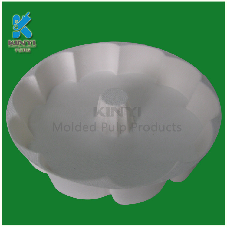 bagasse tray