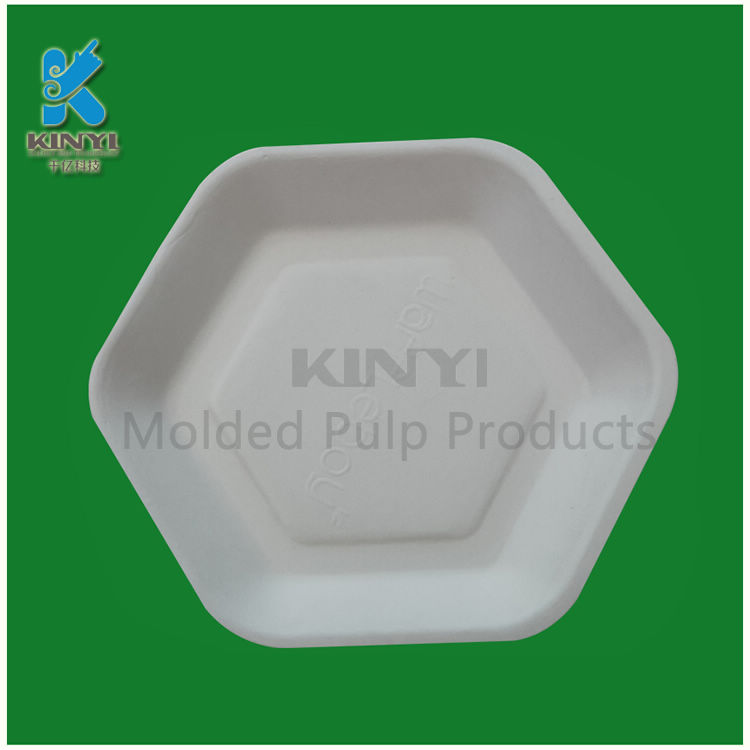 Custom Shpe Sugarcane Bagasse Pulp Molded Cake Serving Trays