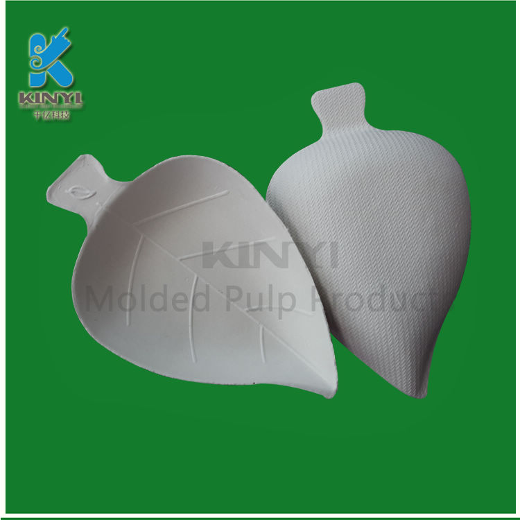 Leaf-Shaped Sugarcane Bagasse Pulp Molded Cake Tray