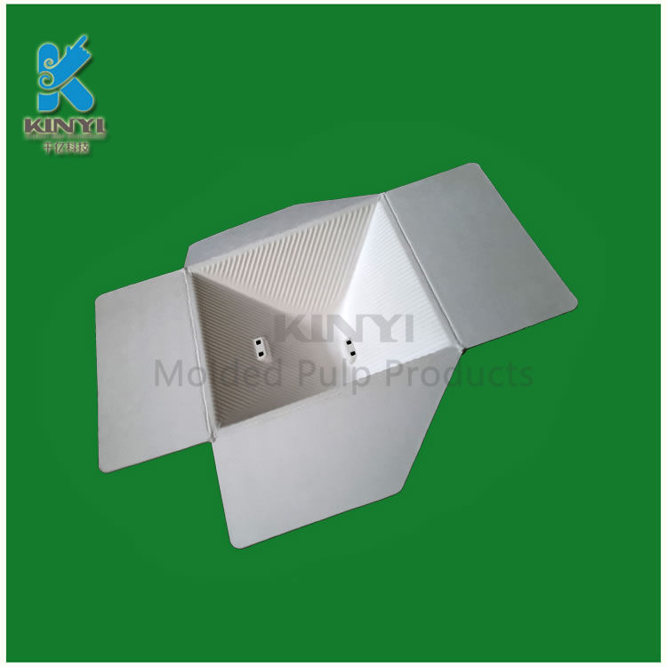 Biodegradable sugarcane bagasse pulp packaging carton trays customized