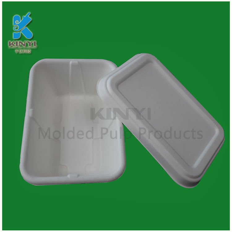 Eco-friendly biodegradable pulp paper fast food boxes custom
