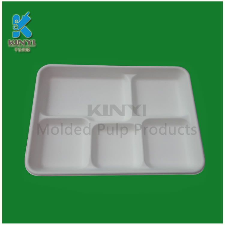 bagasse pulp food tray