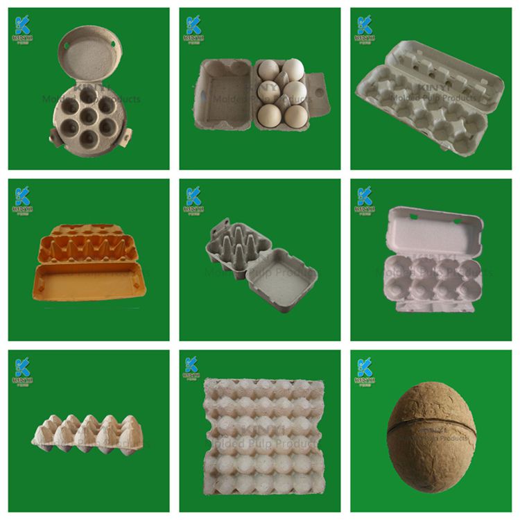 egg packaging box