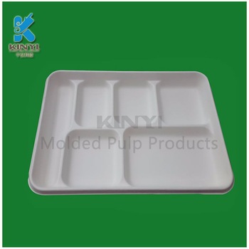 Pulp molding sugarcane bagasse food tray,biodegradable food plate