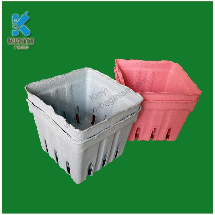 <b>Colorful Molded Pulp Fruit Packaging Trays Manufacturer</b>