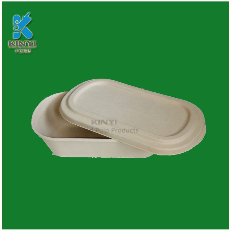 Recycled disposable sugarcane paper pulp food boxes