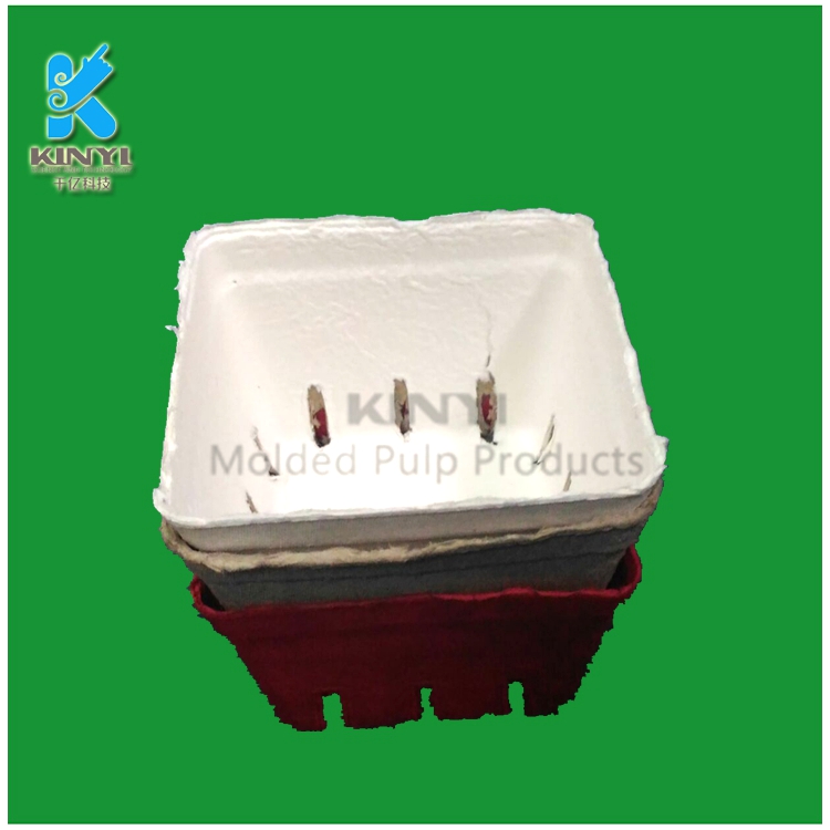 molded pulp packaging