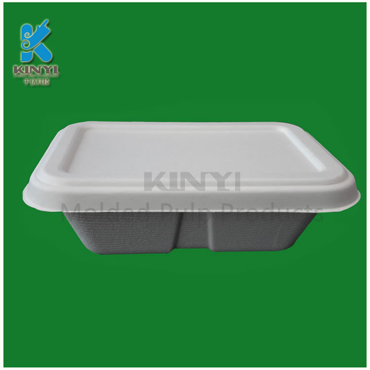 Biodegradable sugarcane bagasse pulp food packaging box