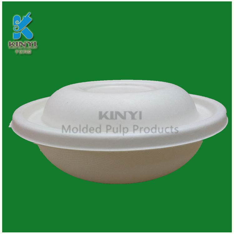 Eco sugarcane bagasse pulp food bowls