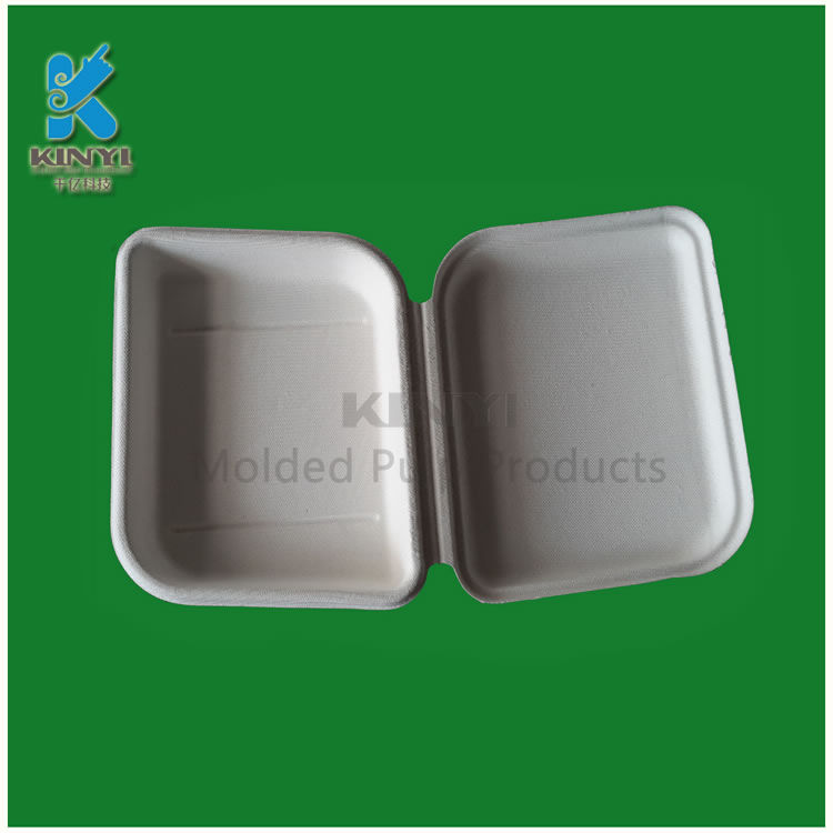 Biodegradable sugarcane bagasse pulp packaging box
